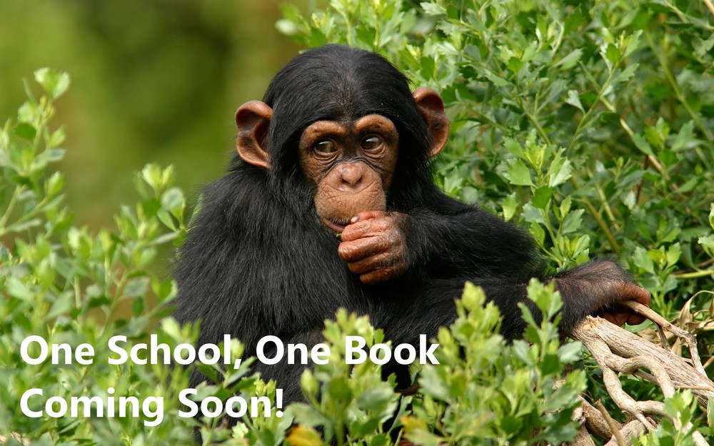 One School One Book